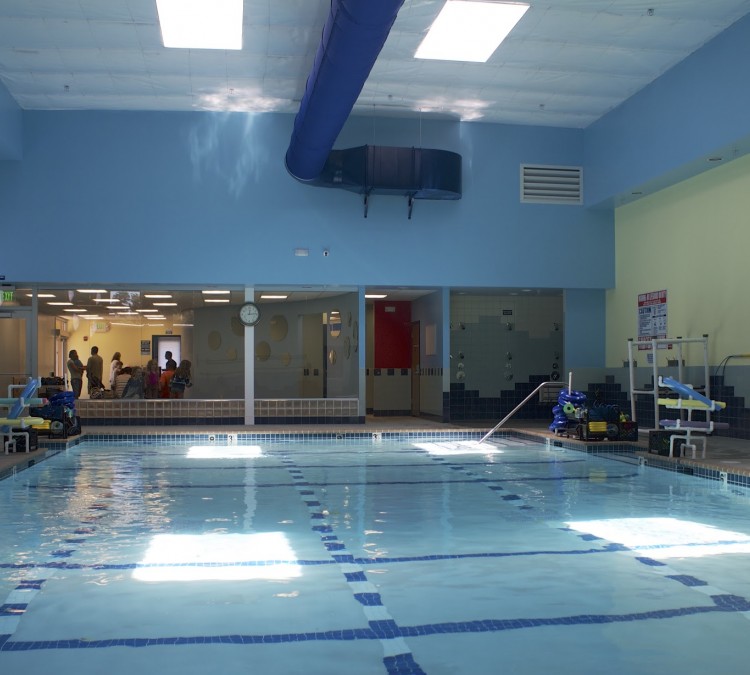 la-petite-baleen-swim-schools-photo